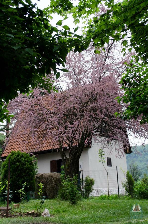 Lodge Zbilje Visoko, Bosnian Pyramids Exterior photo